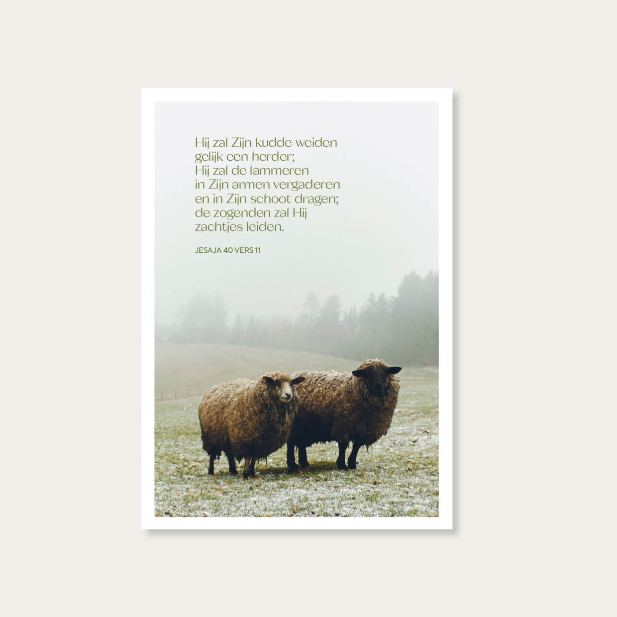 Elke week een Bijbeltekst