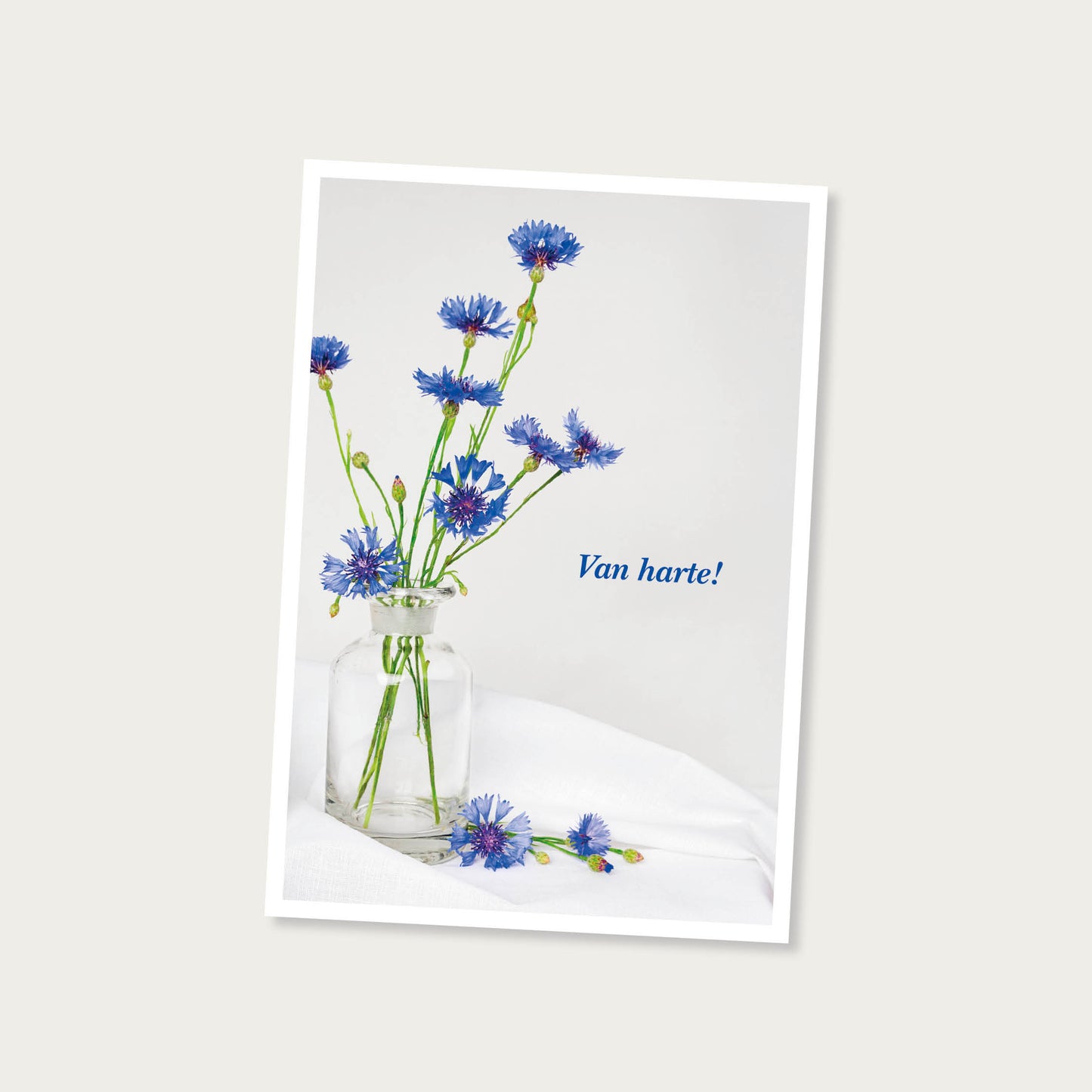 Dubbele kaart korenbloem Van harte