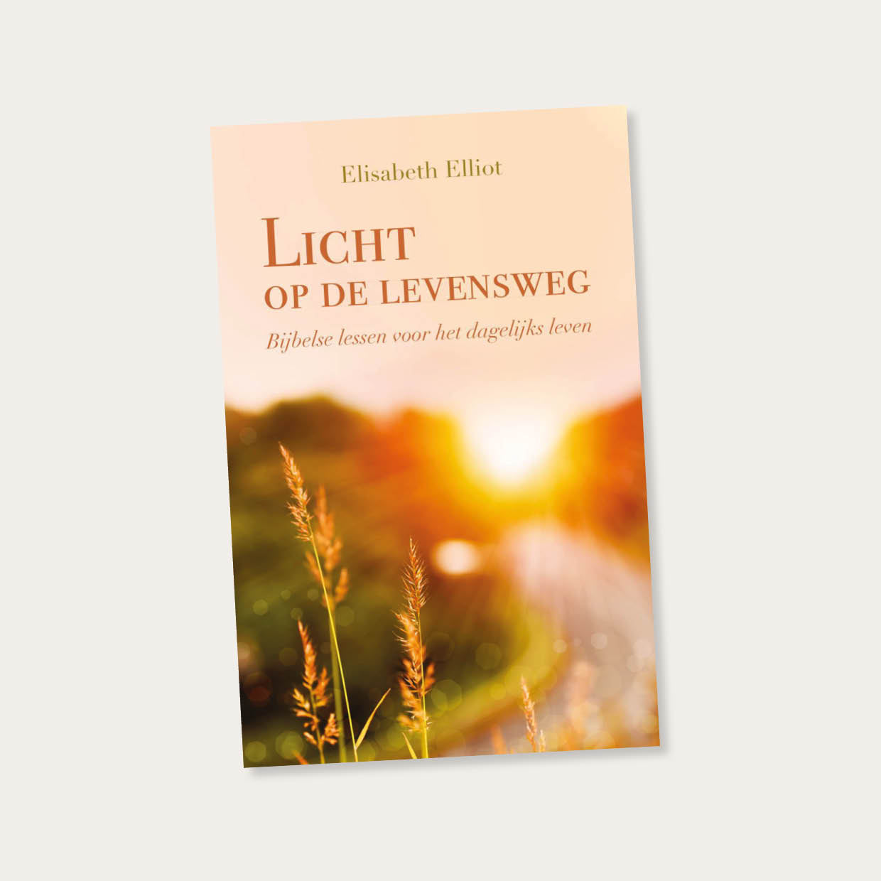 Licht op de levensweg