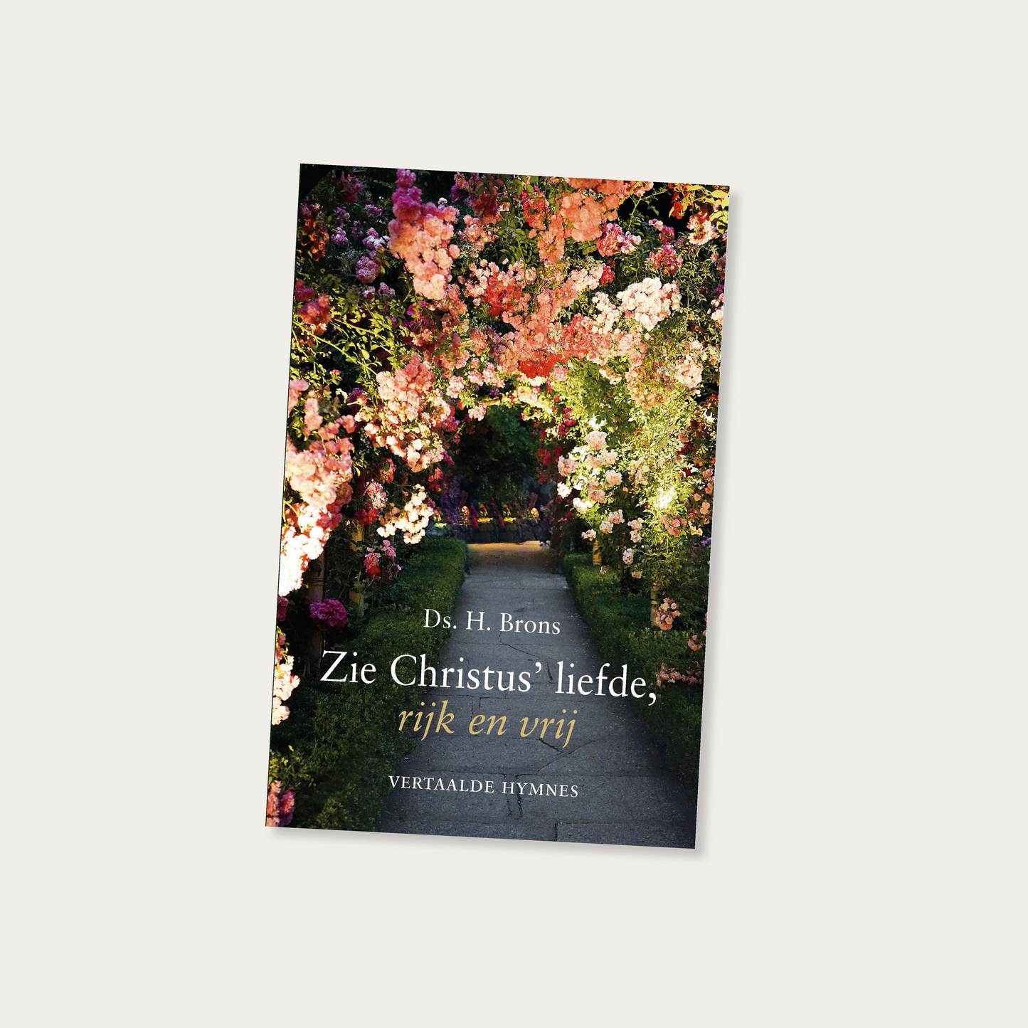 Zie Christus' liefde, rijk en vrij