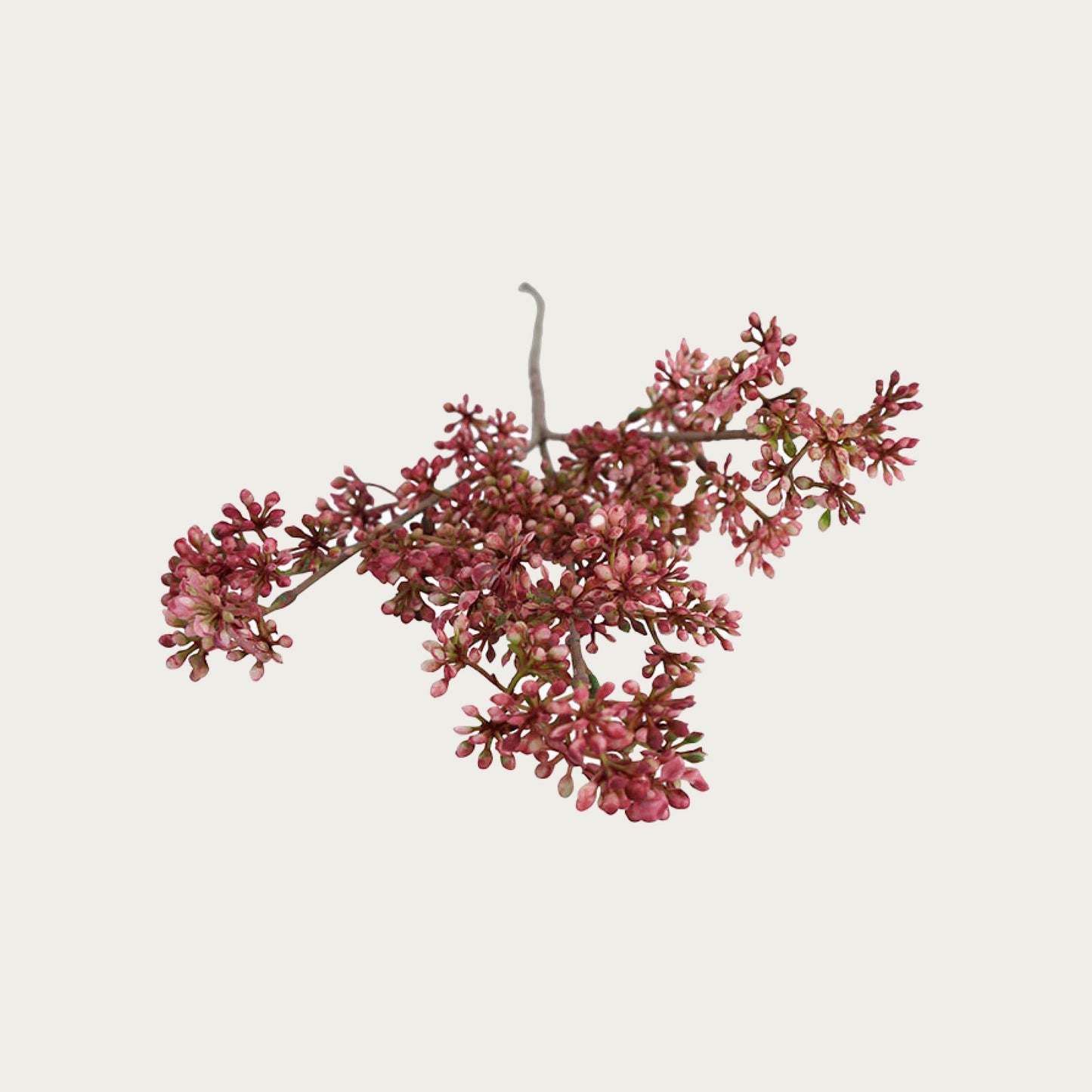 Countryfield Prunus tak fuchsia