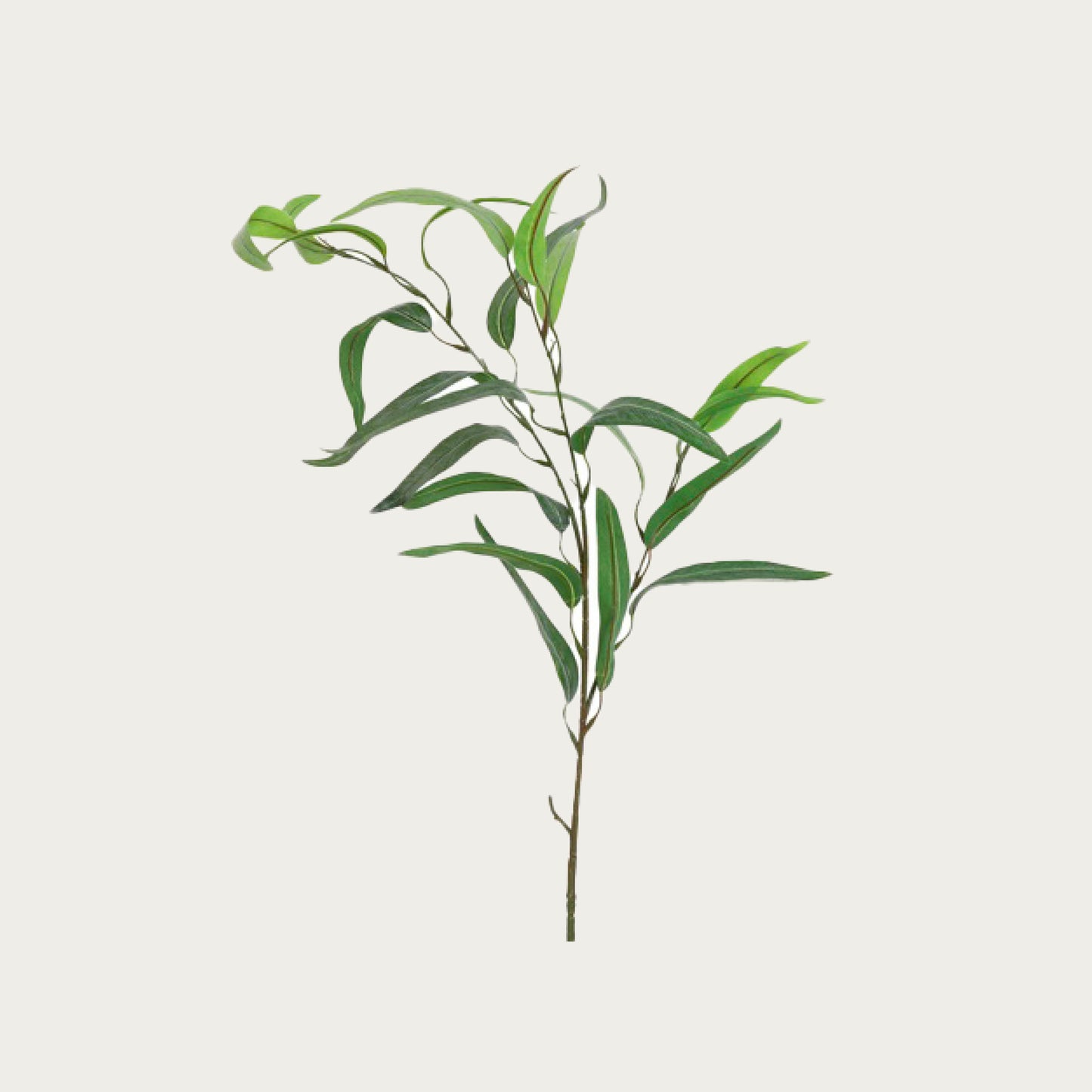 Countryfield Eucalyptus tak groen