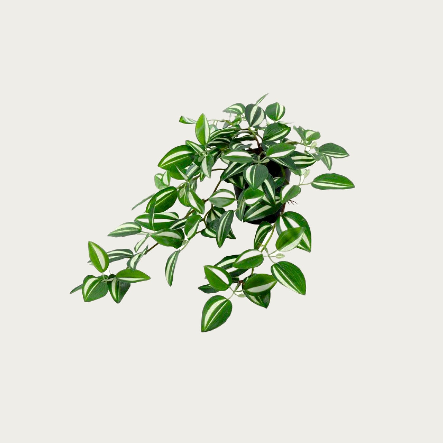 Countryfield Tradescantia kunstplant
