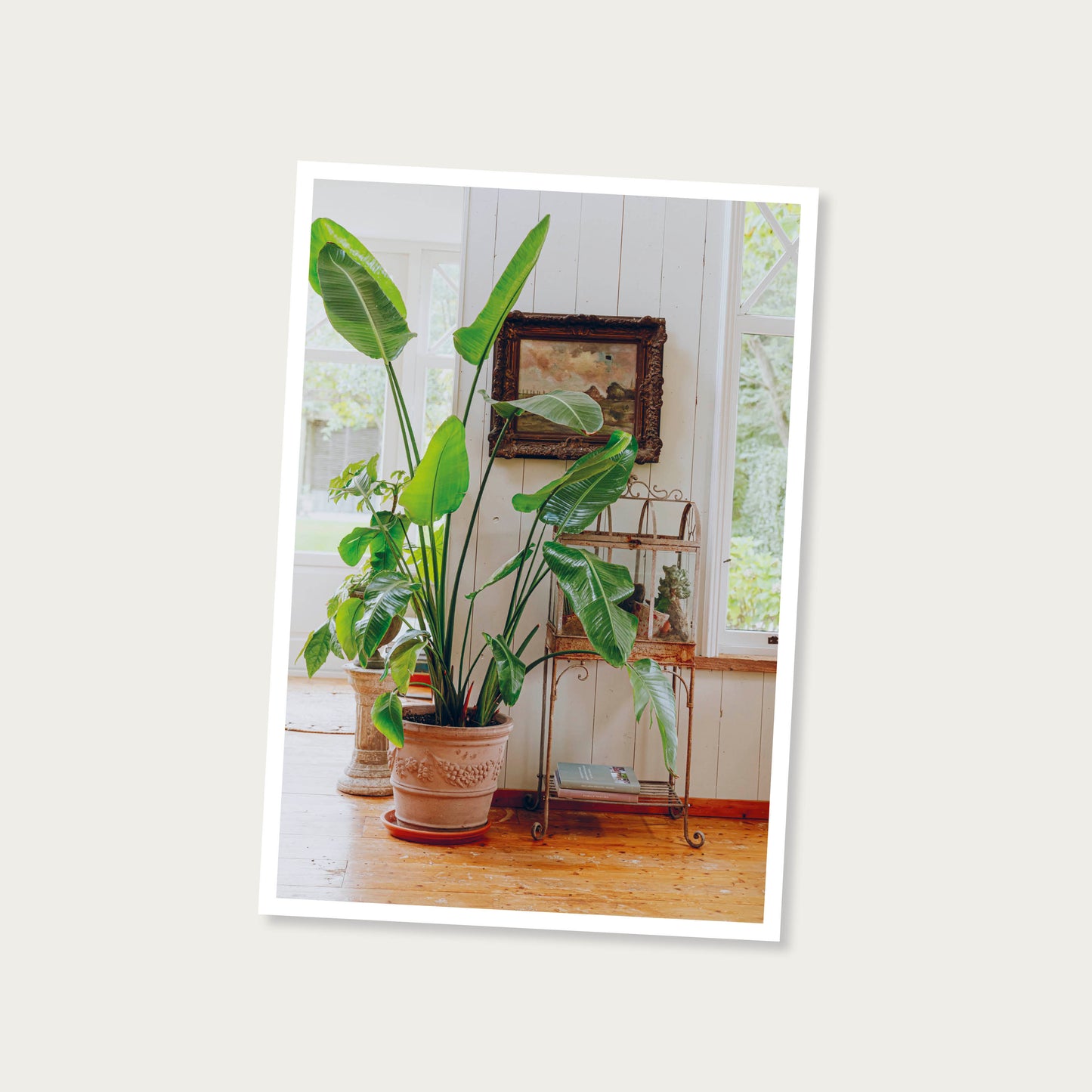 Ansichtkaart met foto (5)