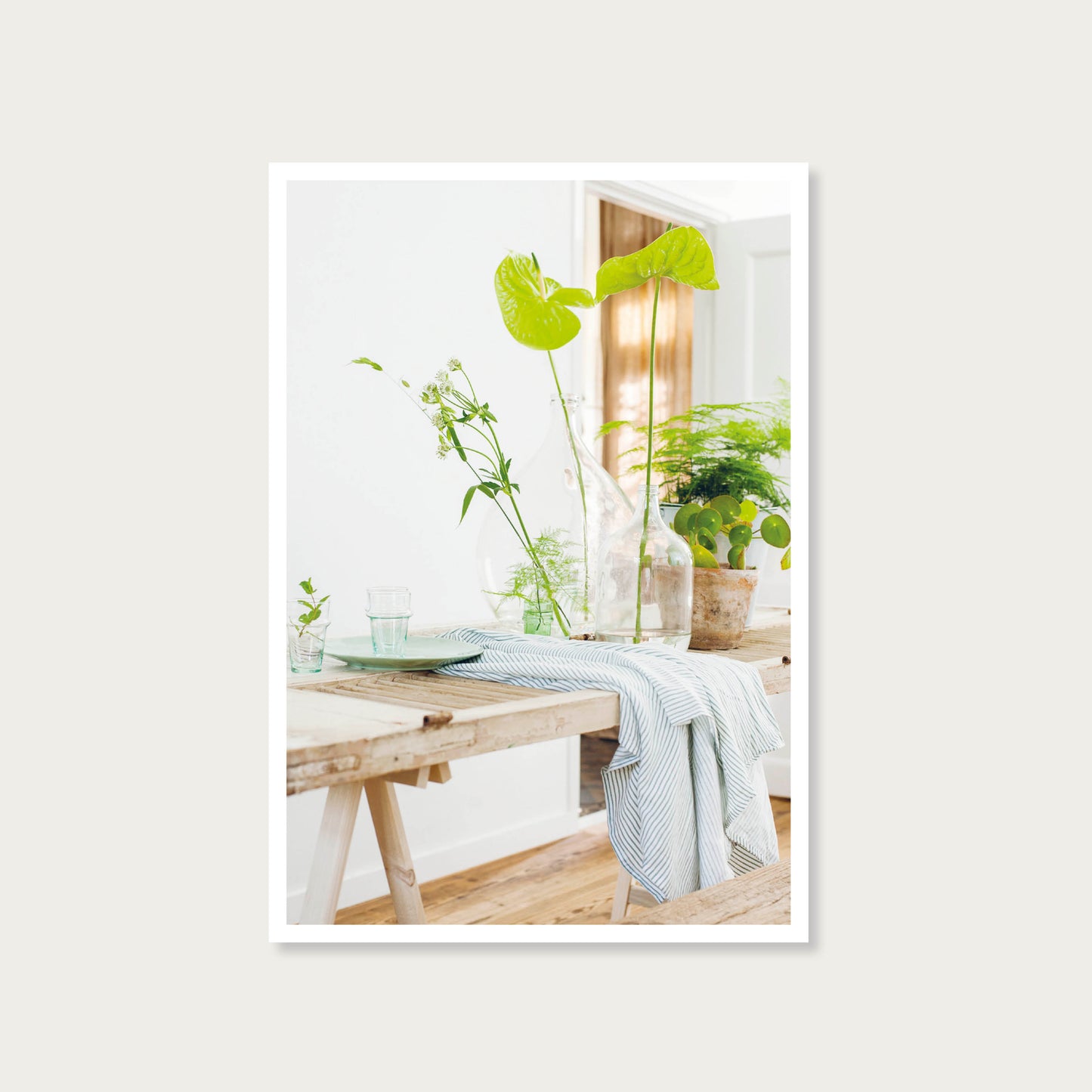 Ansichtkaart tafeltje met planten