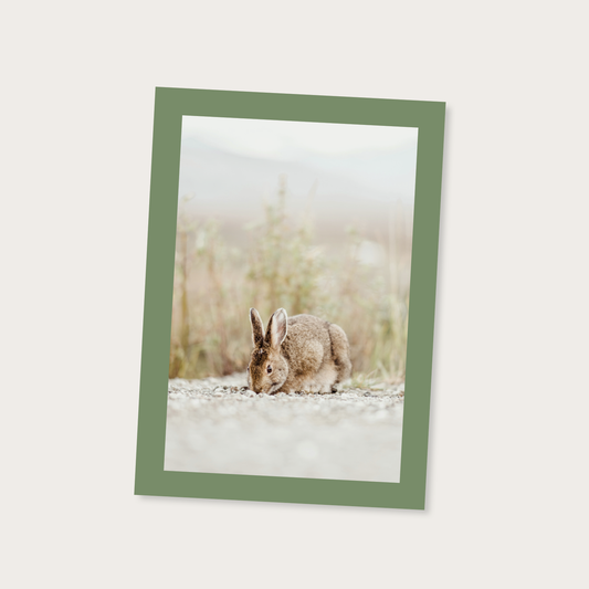 Ansichtkaart neutraal konijntje