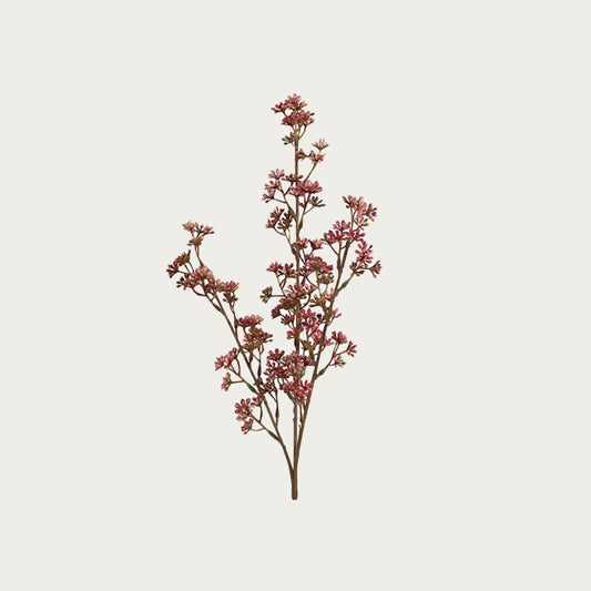 Countryfield Prunus Fuchsia