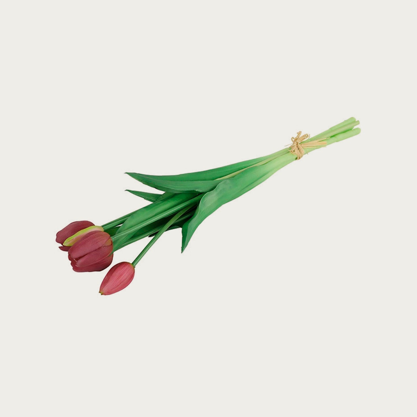 Countryfield boeket tulpen paars