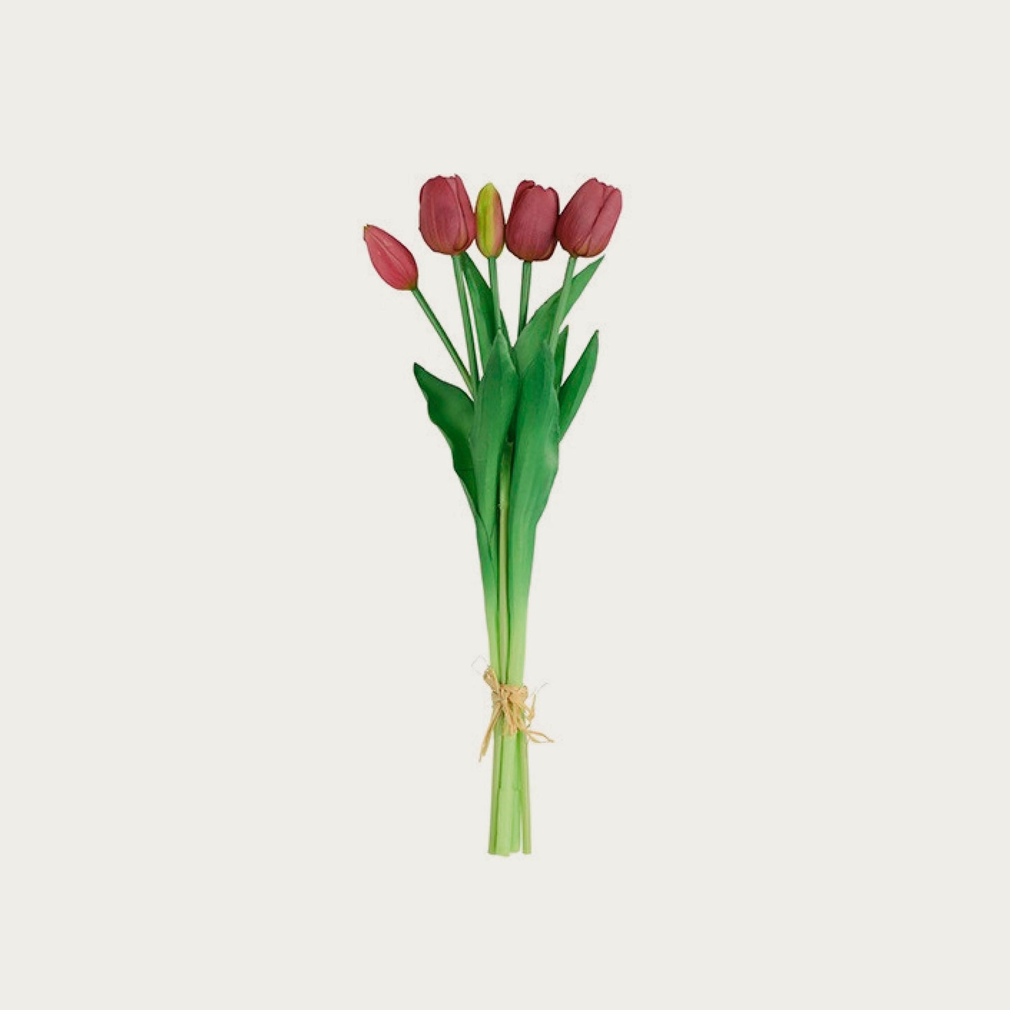 Countryfield boeket tulpen paars