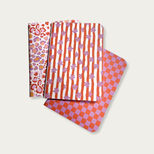 Set van 3 notitieboekjes