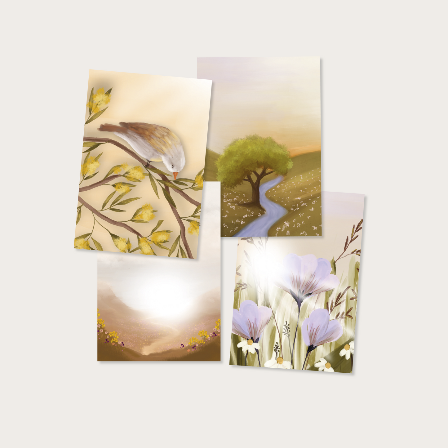 Kaartenset natuur (4 stuks)