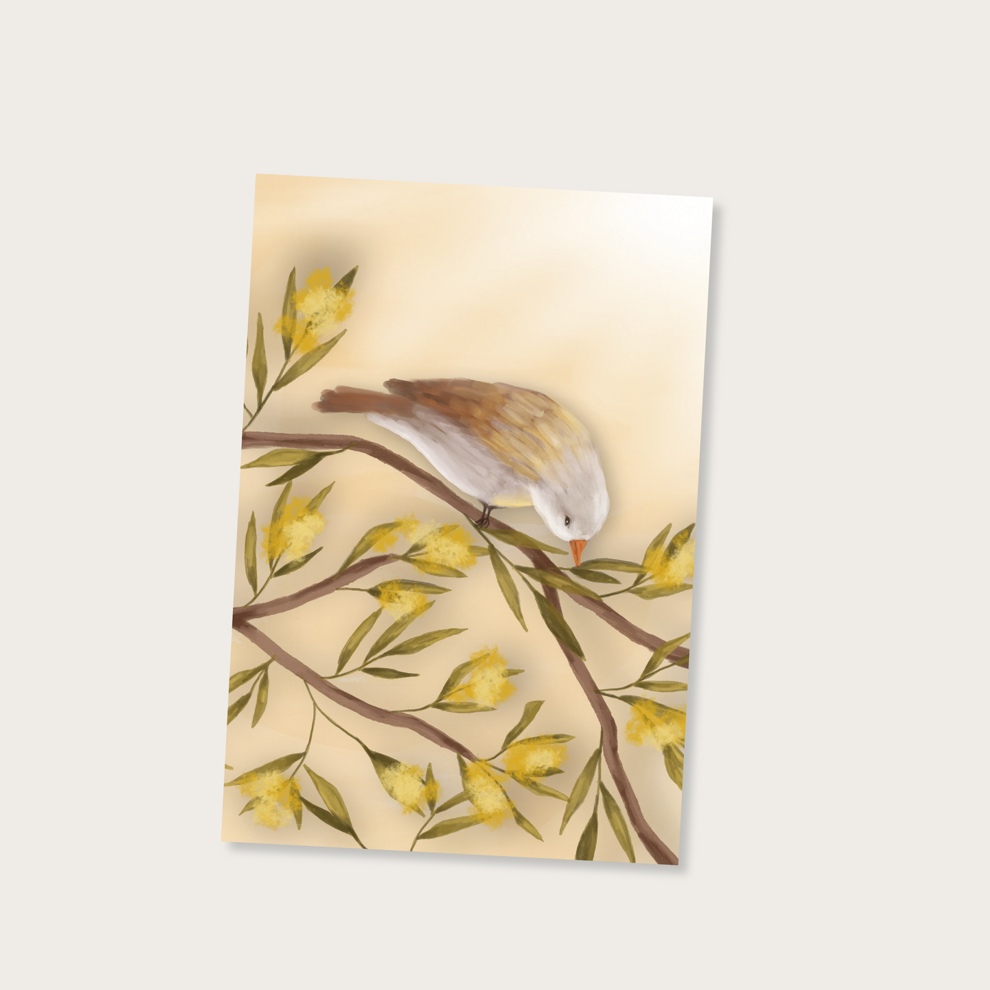 Kaartenset natuur (4 stuks)