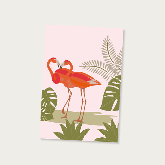 Ansichtkaart flamingo's