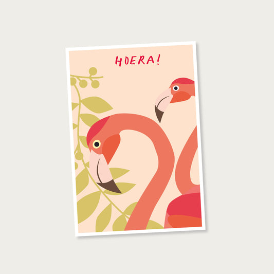 Ansichtkaart Flamingo's Hoera