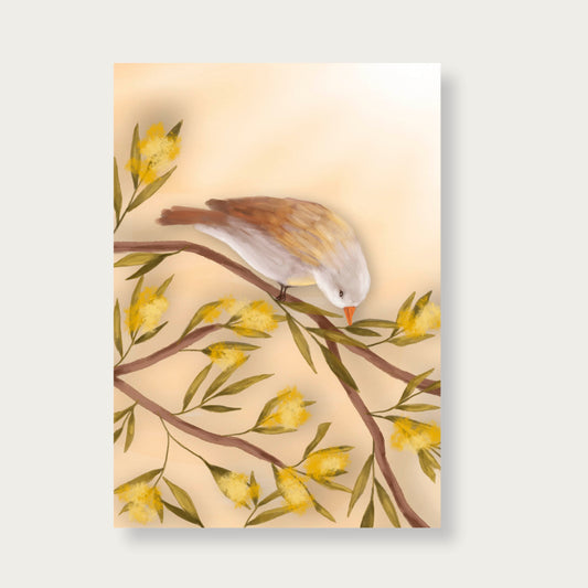 Poster Vogel