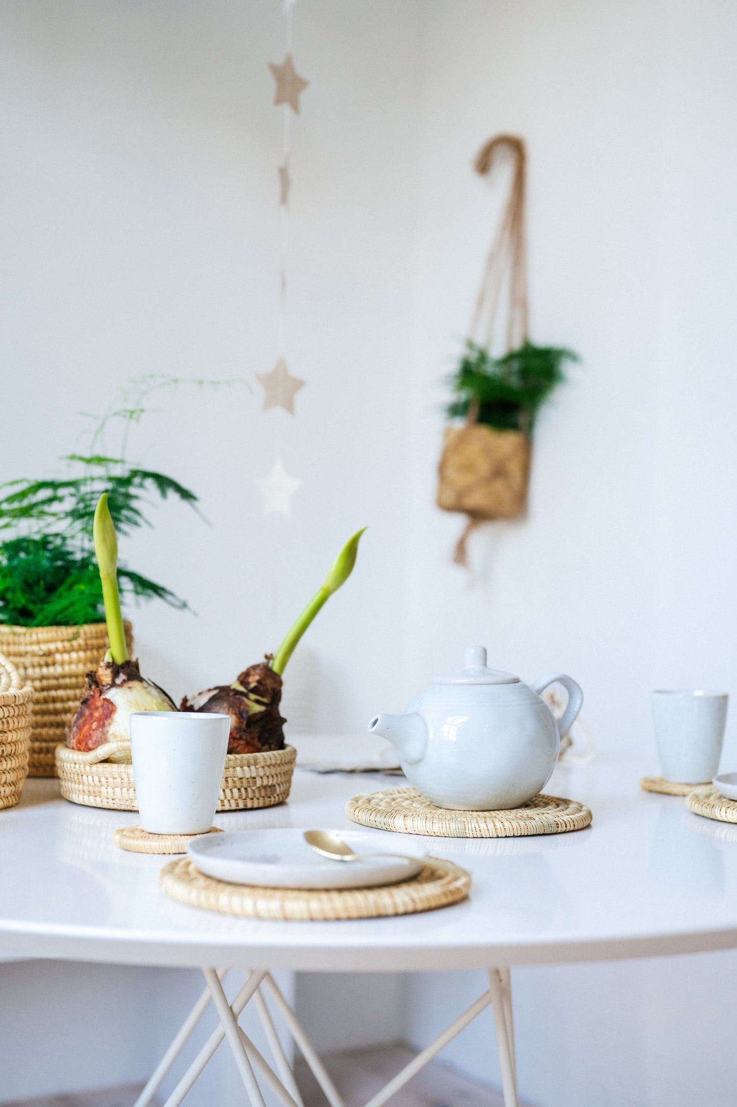 Plantenmandje met hanger