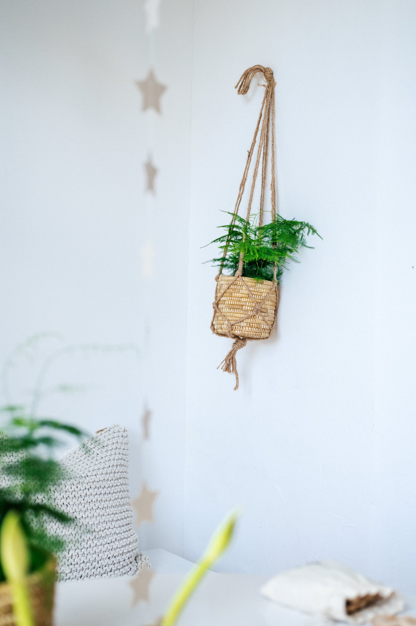 Plantenmandje met hanger